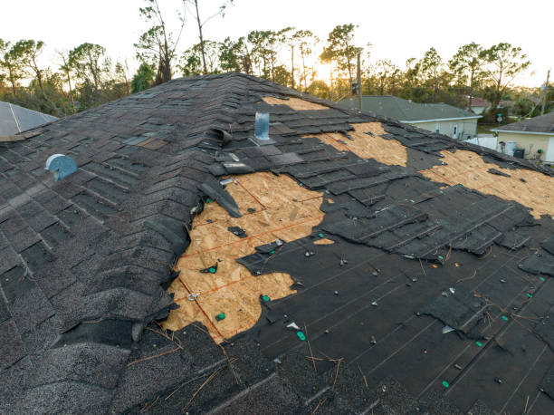 Roof Coating Services in Tyrone, GA