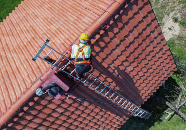 Best Skylight Installation and Repair  in Tyrone, GA